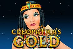 Casino Adrenaline game-thumb